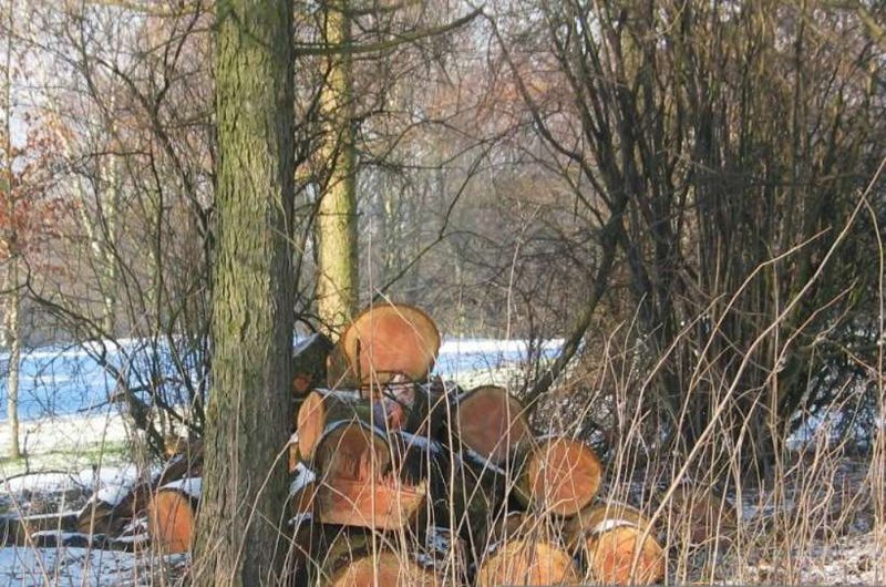 Holzstapel