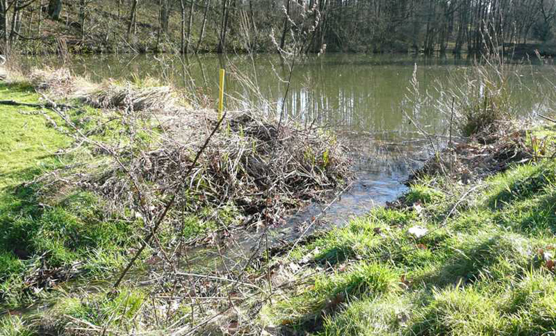 Bachablauf des größten Teiches an der Bahn 7 des Ostplatzes