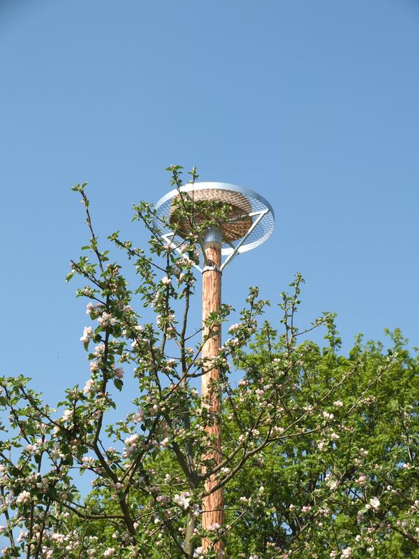 Storchenrad