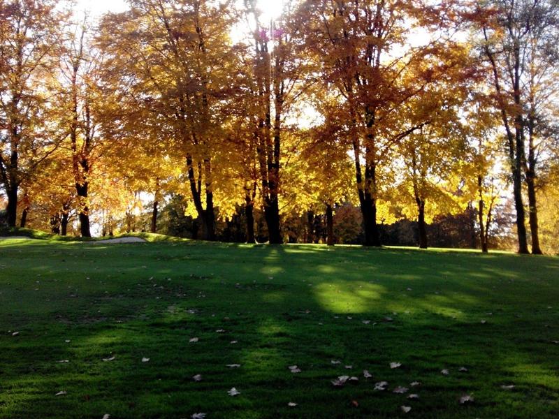 Golf Club Hubbelrath Bahn 8 Ostplatz