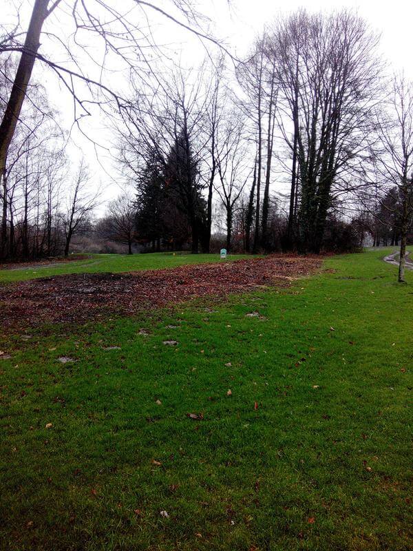 Freischnitt Tee18