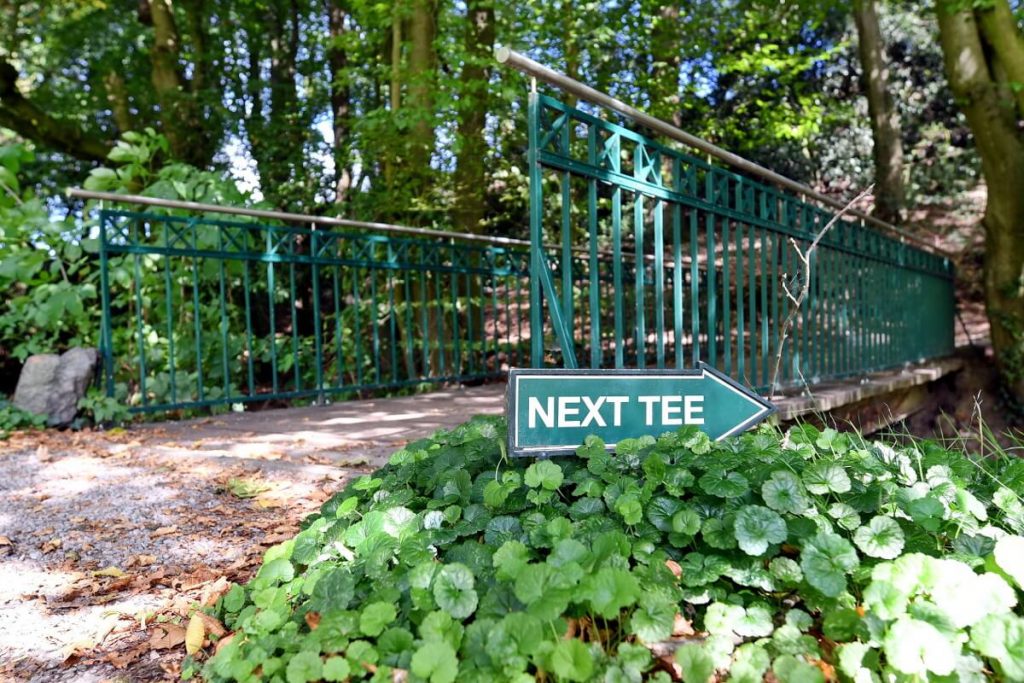 Brücke zum nächsten Tee