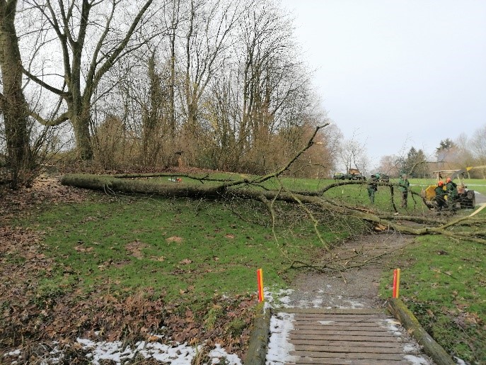Verbreiterung der Spielachse aus Spielbahn 3 Westplatz