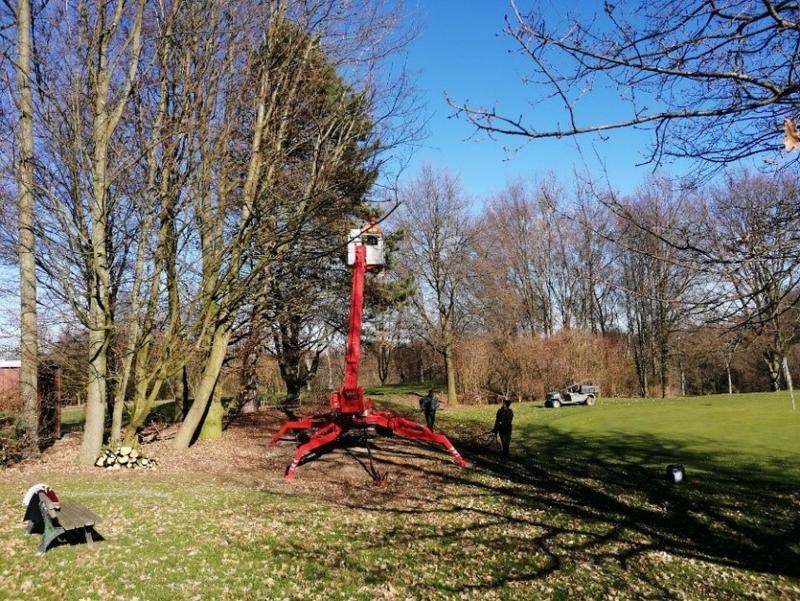 Kronenschnitt hinter dem 8. Green Ostplatz