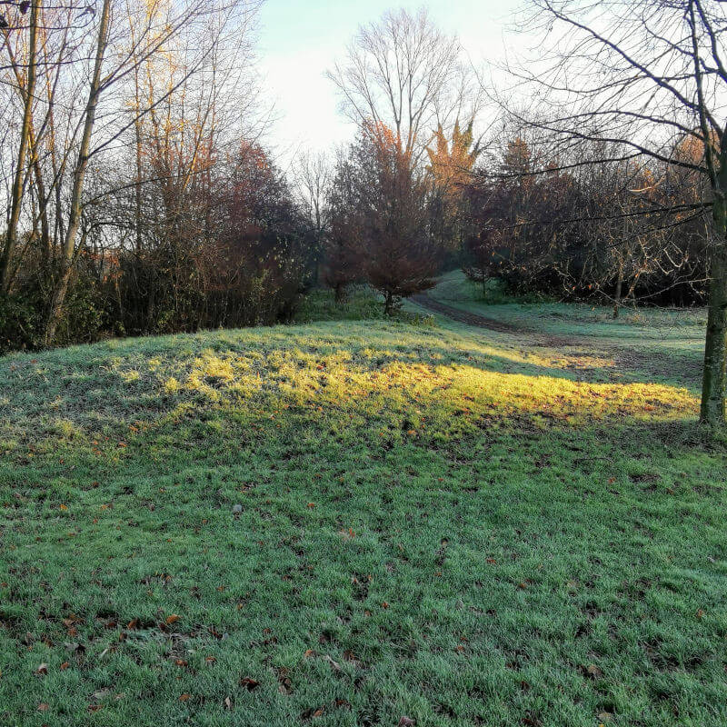geplante Magerwiesenfläche Weg von Green 5 zu Tee 6 Ostplatz